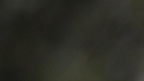 Demócratas en el Congreso piden que el FBI investigue