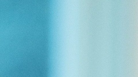 Demócratas han acordado dar más garantías a Trump.