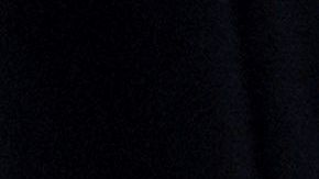 El presidente Trump ironizó sobre el presentador de Fox News.