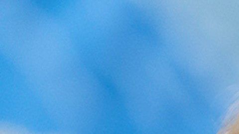 Trump lleva tiempo evitando publicar sus declaraciones de impuestos.