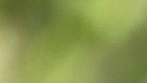 Gareth Bale asistió al Open de España.