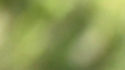 Gareth Bale asistió al Open de España.