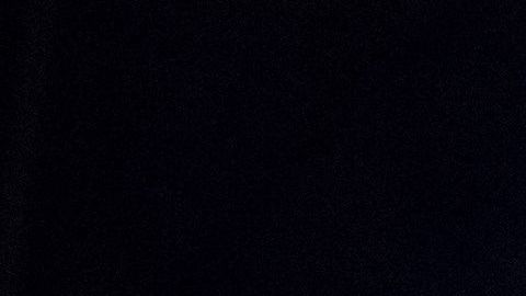 Danilo Medina dijo que votará por Castillo.