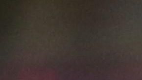 Comienza la acción en la Liga Americana y en la Nacional se juega el segundo encuentro.