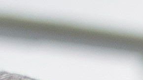 Trump ofrece una rueda de prensa en la Casa Blanca el 4 de octubre.