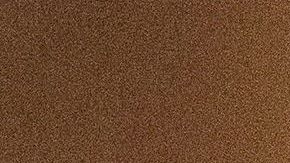 El vicepresidente Mike Pence.