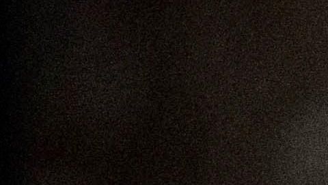 Parece que el Papa le dio su bendición a los New Orleans Saints.