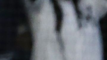 Didi Gregorius conectó un poderoso Grand Slam para darle la victoria a los Yankees.