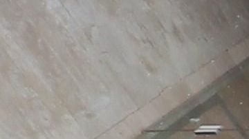 Los indígenas en el edificio del parlamento.