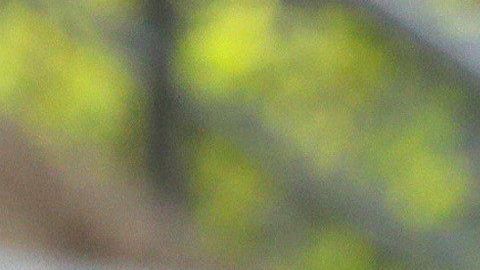 Xabi Alonso podría ir a prisión.