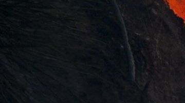 Saddleridge fire in Porter Ranch