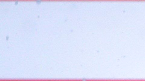 Mercedes aseguró su sexto título de Constructores de forma consecutiva.