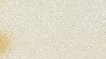 Fiona Hill aseguró que notificó en su momento sobre lo que vio.