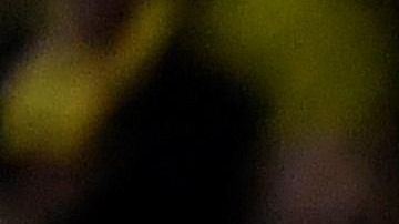 La ‘Roja’ logró su clasificación de manera matemática la Eurocopa 2020 tras empatar ante Suecia 1-1.