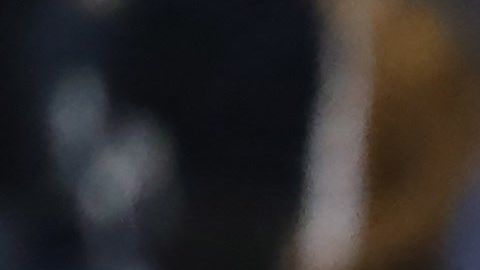 Houston derrotó a domicilio a la novena de Nueva York.