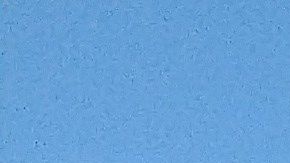 Culiacán estuvo sitiada por las balas durante horas.