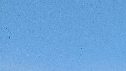 Culiacán estuvo sitiada por las balas durante horas.