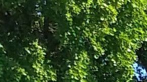 Los cárteles se pelean por dominar en Guanajuato, Jalisco y Michoacán.