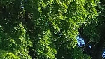 Los cárteles se pelean por dominar en Guanajuato, Jalisco y Michoacán.