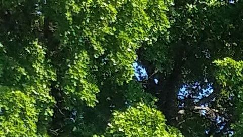 Los cárteles se pelean por dominar en Guanajuato, Jalisco y Michoacán.