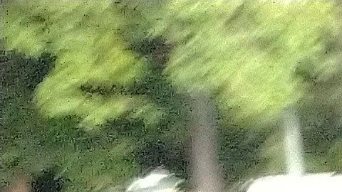 Ovidio Guzmán fue liberado poco después de que se anunciara su captura.