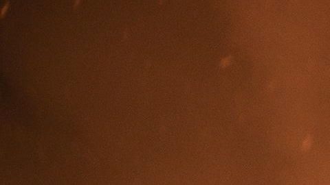 El viñedo The Soda Rock Winery en llamas.