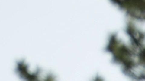 El golfista Tiger Woods empató la legendaria marca Sam Snead de 82 títulos en el PGA Tour.