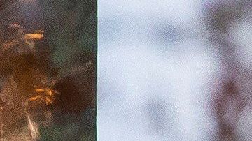 La Casa Blanca anunció que no participaría en la investigación sobre el juicio político".