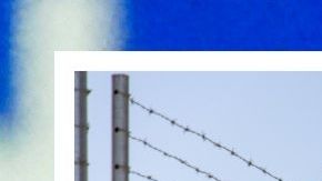 Donald Trump aseguró que la valla se está construyendo "más rápido de lo esperado".