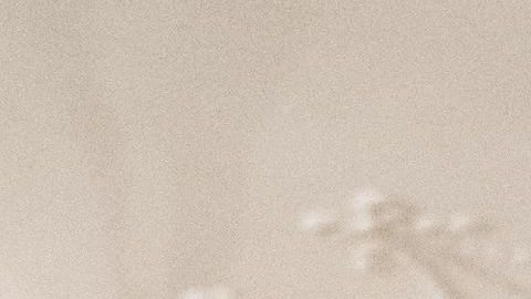 Vindman dijo que la transcripción de la llamada excluyó partes clave.