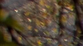 Las ayudas son para los afectados y para los equipos de extinción.