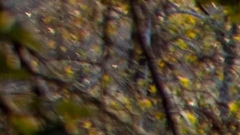 Las ayudas son para los afectados y para los equipos de extinción.