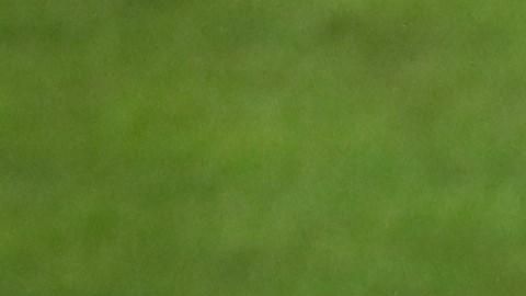 Adam Eaton, Juan Soto y Anthony Rendon pegaron sendos cuadrangulares mientras que Stephen Strasburg lanzó magistralmente.