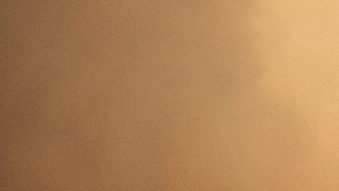 Granjeros evacuan animales en Simi Valley.