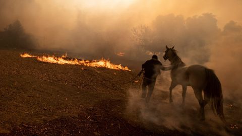 Granjeros evacuan animales en Simi Valley.