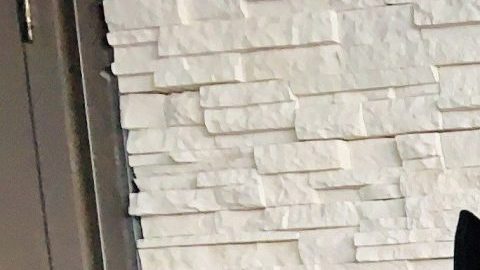 La cantante mexicana Diana Reyes y los integrantes de la banda Montez de Durango