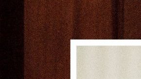 Morrison trató de no criticar abiertamente al presidente.