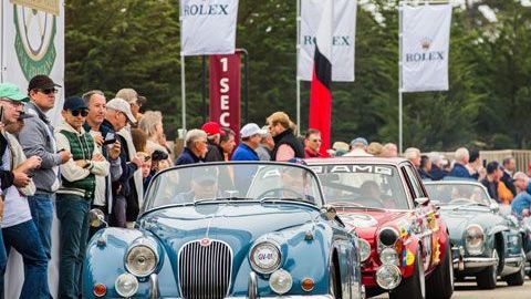 65b0f403bb643d6d8bd8b44b4506e1ae