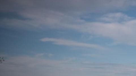 7040bac3-d7c6-4a6e-9837-edf3b21a2df5