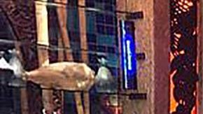 La foto en donde el hombre hace el gesto.