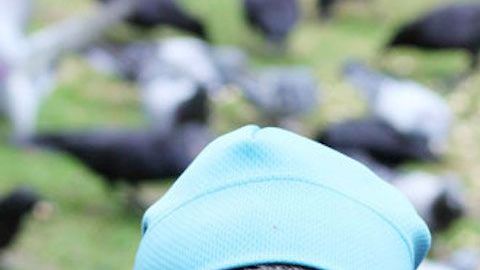 Gabi Mann y su especial relación con los cuervos.