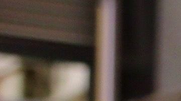 Lili Estefan y Clarissa Molina.