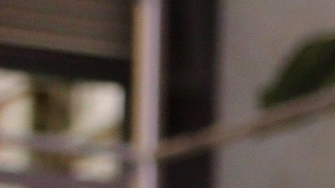 Lili Estefan y Clarissa Molina.