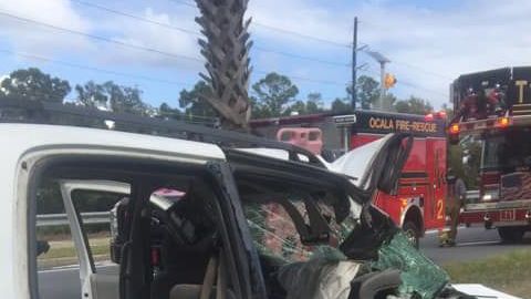 Así quedó el vehículo al chocar con la palmera.
