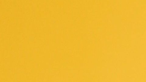 LOS ANGELES, CA - JANUARY 09: Adam Neumann attends WeWork Presents Second Annual Creator Global Finals at Microsoft Theater on January 9, 2019 in Los Angeles, California. (Photo by JB Lacroix/Getty Images)