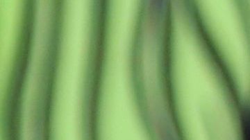 Adamari López, la estrella de "Un nuevo día" de Telemundo