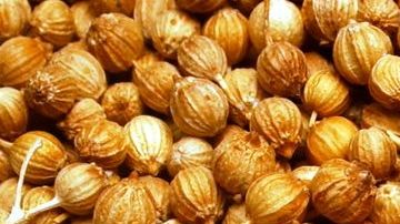 La mostaza destaca por ser rica en vitamina A y minerales, como el sodio, hierro y potasio. Gracias a su riqueza mineral acelera el proceso de transporte de nutrientes y mantiene los músculos del cuerpo en un buen estado.