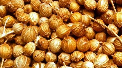 La mostaza destaca por ser rica en vitamina A y minerales, como el sodio, hierro y potasio. Gracias a su riqueza mineral acelera el proceso de transporte de nutrientes y mantiene los músculos del cuerpo en un buen estado.