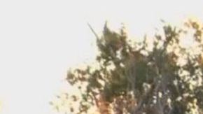 Los hechos conmocionaron a Alabama.