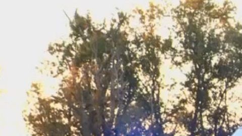 Los hechos conmocionaron a Alabama.